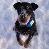 Global Locator Real Time Pet GPS Tracker For Pet Dog/Cat GPS Collar Tracking Free Platform and Shipping
