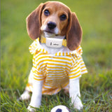 Global Locator Real Time Pet GPS Tracker For Pet Dog/Cat GPS Collar Tracking Free Platform and Shipping