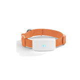 Dog GPS Tracker Mini Pet Tracking Device GPS WIFI Locator Waterproof long Standby Time Free App Web Tracking