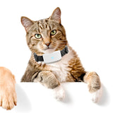 Dog GPS Tracker Mini Pet Tracking Device GPS WIFI Locator Waterproof long Standby Time Free App Web Tracking
