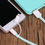 2en1 Câble USB 1M Charge Mobile Pour iPhone iPad iPod