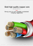 Cable USB en Zinc pour iPhone iPod iPad compatible 5 6 7 8 X XS XR Auto Disconnect Fast Data Charging