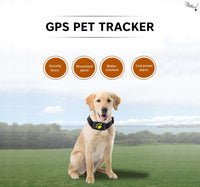 Traceur GPS pour Chien ou Chat