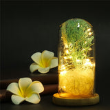 Une Rose en LED dans un Dôme en Verre sur une Base en Bois pour Cadeaux de la Saint Valentin