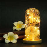 Une Rose en LED dans un Dôme en Verre sur une Base en Bois pour Cadeaux de la Saint Valentin