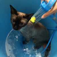 Outil De Lavage Pour Animaux Pulvérisateur de Bain Épurateur Nettoyage Outils De Lavage