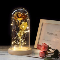 Dôme en verre avec fleur éternelle guirlande lumineuse