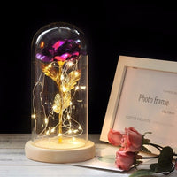 Dôme en verre avec fleur éternelle guirlande lumineuse