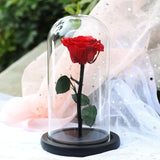 Rose bleu éternelle avec LED dans une cloche en Verre avec une base noir idéal pour un Cadeau de Dame